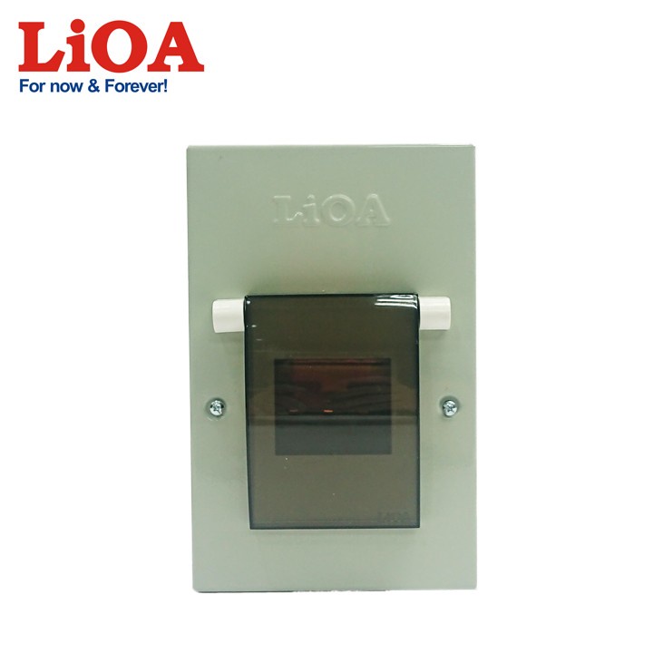 Tủ điện kim loại chứa 2 aptomat LIOA