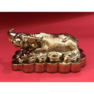 [Tượng trâu phong thuỷ] Trâu nằm trên tiền vàng chất liệu gốm sứ mạ vàng 24K cao cấp