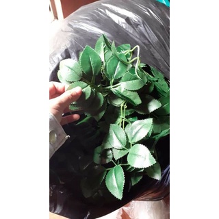 100g lá hoa hồng