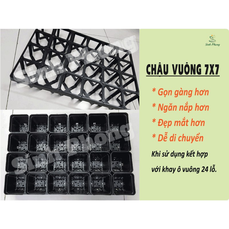 Chậu nhựa vuông 7x7 màu đen ( set 50 cái )