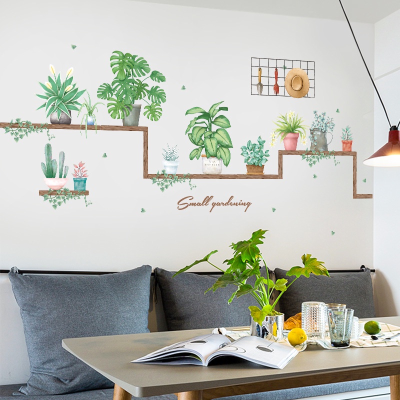 Decal dán những chậu cây cảnh