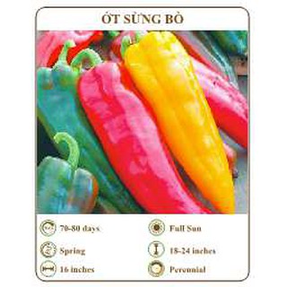 Hạt giống ớt sừng bò - THE XANH