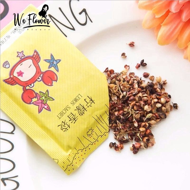 We Flower Túi Thơm Khử Mùi Dùng Cho Tủ Quần Áo Tiện Dụng