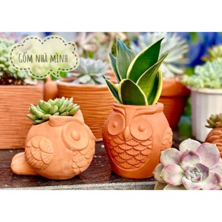 Combo 2 chậu Cú đất nung