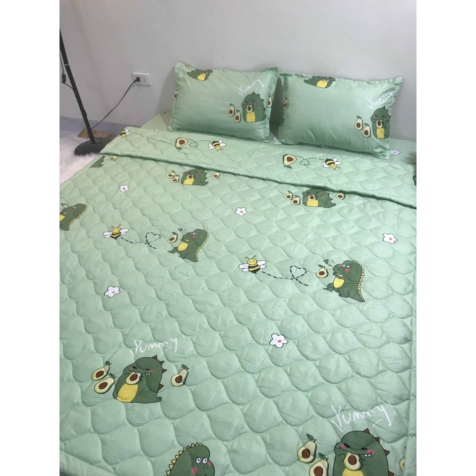Bộ chăn hè ga gối cottong poly Chăn ga gối 5 món cotton poly chăn hè trần bông ( chát chọn mẫu)