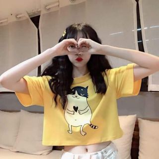 (CÓ QUÀ TẶNG) ÁO CROPTOP form rộng tay lỡ