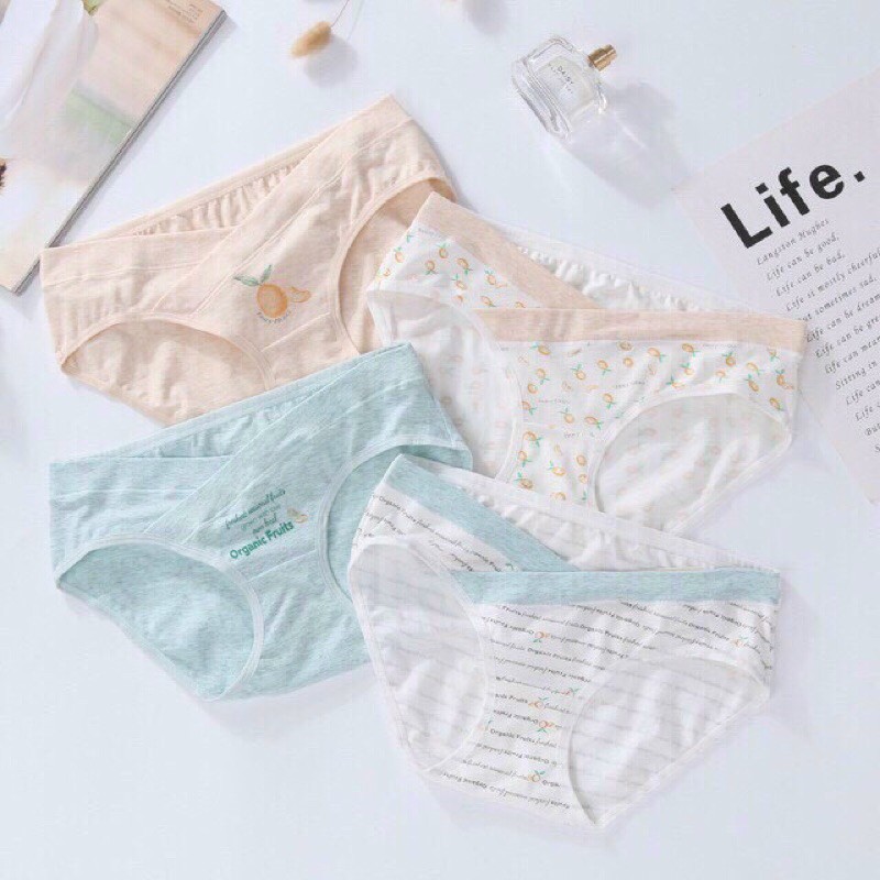 SET COMBO 4 QUẦN LÓT BẦU COTTON ORGANIC