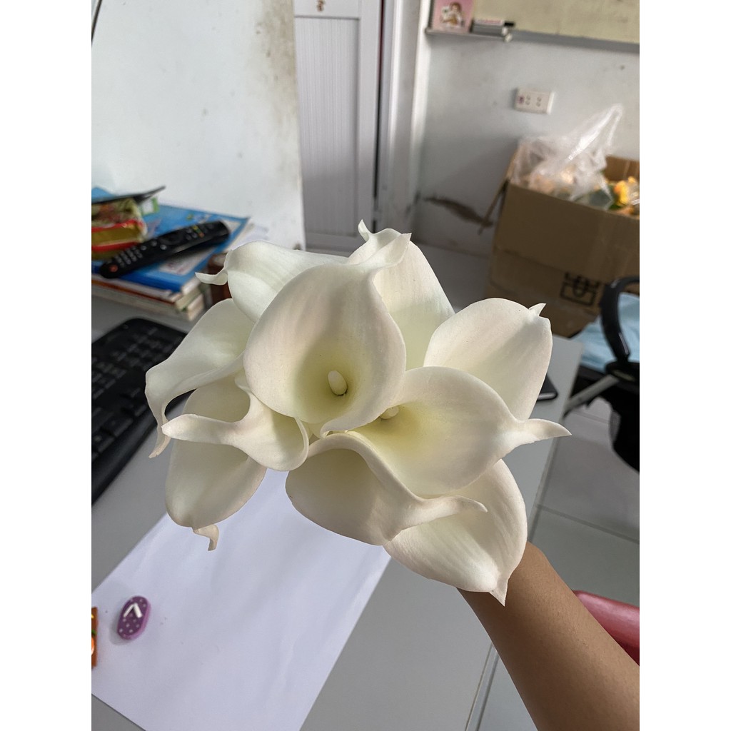 Hoa Giả - HOA RUM CALLA LILY Cao Cấp Gốc Nam Phi trang trí nhà cửa, văn phòng siêu đẹp