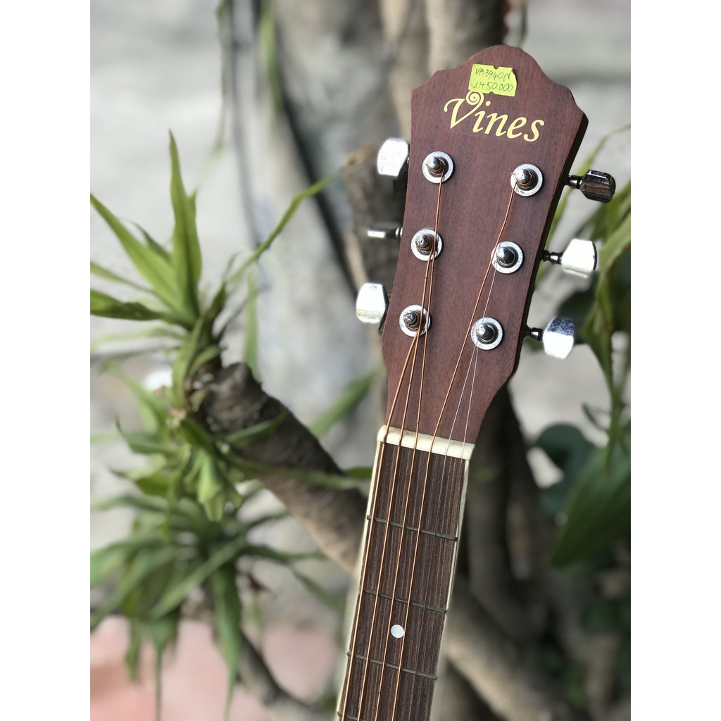 Đàn Guitar Acoustic Vines VA3940N - Sol.G