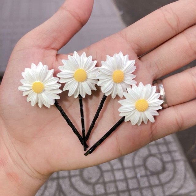 set 3 kẹp hoa cúc