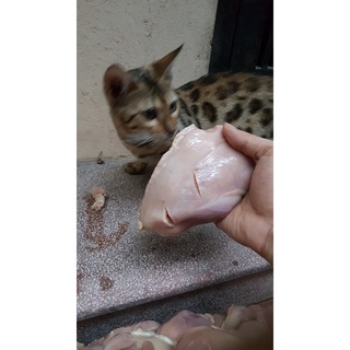 Ức Gà Loại 2 Mỗi Túi 2kg