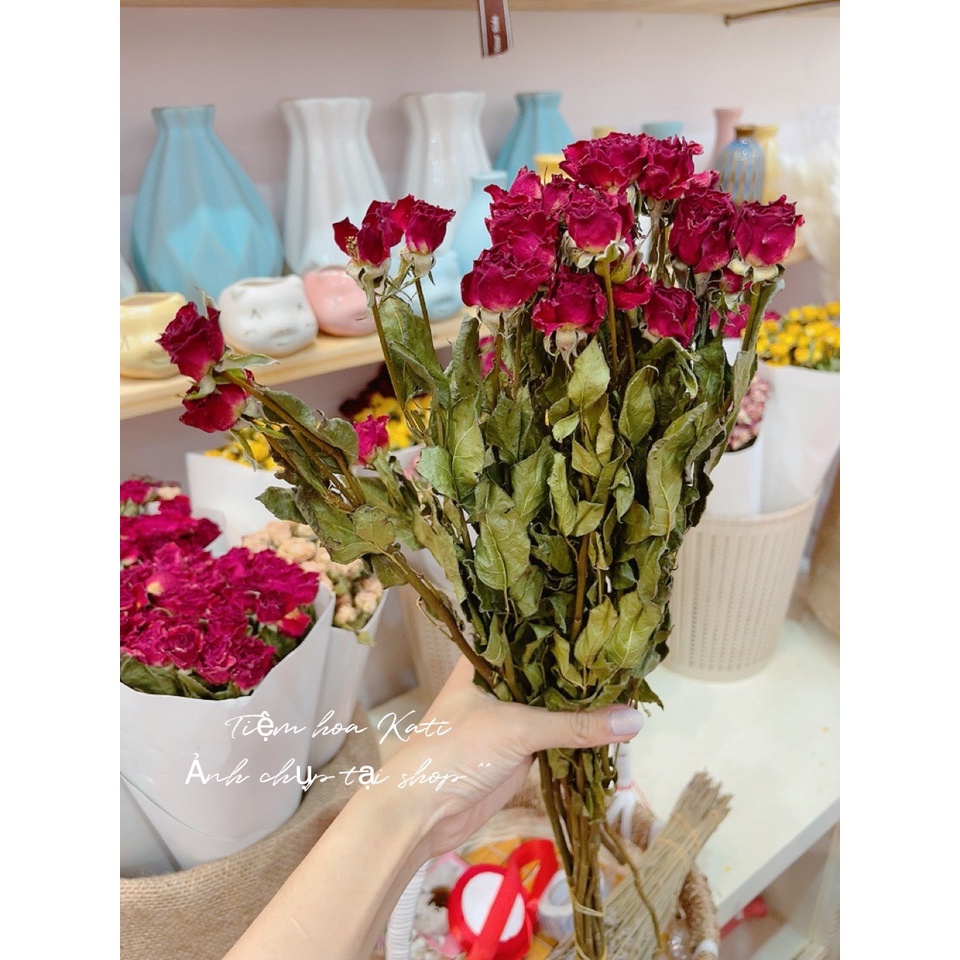Hoa hồng khô, hoa hồng tỉ muội trang trí showroom, tiệc cưới Rustic cổ điển