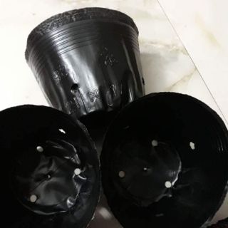 Bầu Ươm Cây