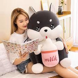 Gấu bông chú chó husky ôm bình sữa size lớn vải 4 chiều miniso mềm mịn