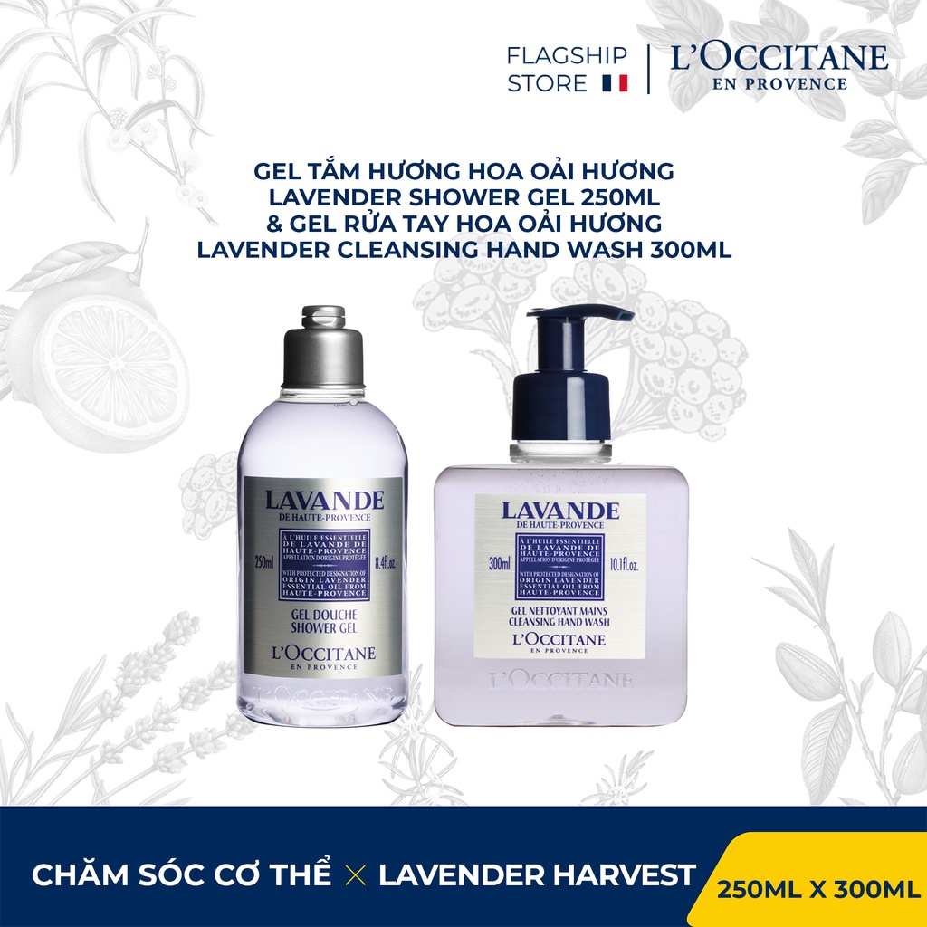 Gel Tắm L'Occitane Hương Hoa Oải Hương 250ml &amp; Gel rửa tay hoa Oải Hương Lavender Cleansing Hand Wash 300ml