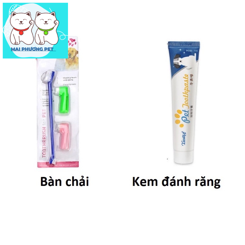 Bàn chải và kem đánh răng cho thú cưng giúp răng miệng thơm tho hết thối mồm