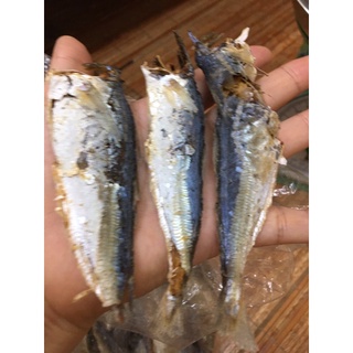 Khô cá nục