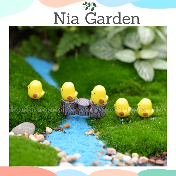 Tiểu cảnh gà con mô hình mini trang trí chậu cây bể cá terrarium vườn Nia