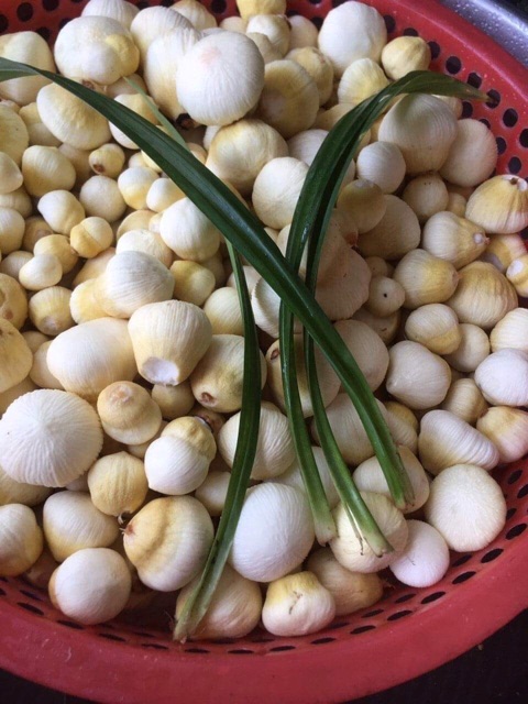 Mộng Dừa Tươi  -1 kí- Ship Tp. HCM