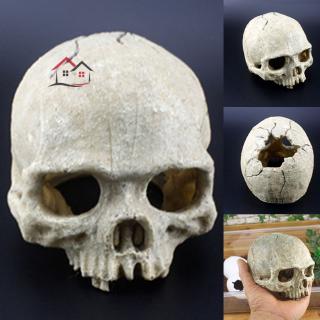 Đầu Lâu Giả Trang Trí Bể Cá