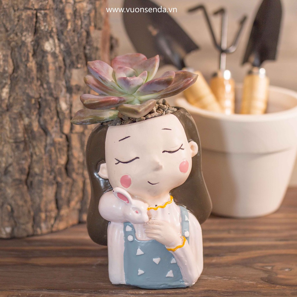 Chậu cô gái ôm thỏ - Vườn sen đá