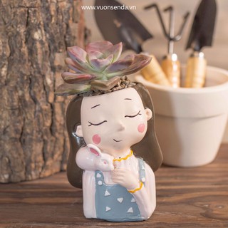 Chậu cô gái ôm thỏ - Vườn sen đá