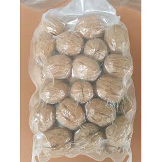 Óc chó tươi Lai Châu