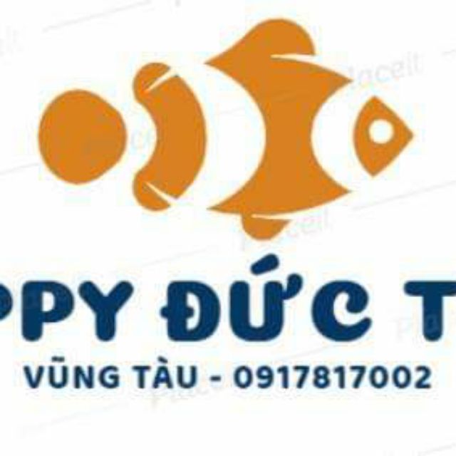 Guppy Đức Tân Store