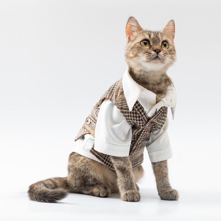 Set GILE sơ mi hàng hiệu cho thú cưng - SaboCoco - Sabo Gentleman