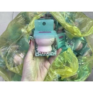 Bạch tuộc rữa mặt