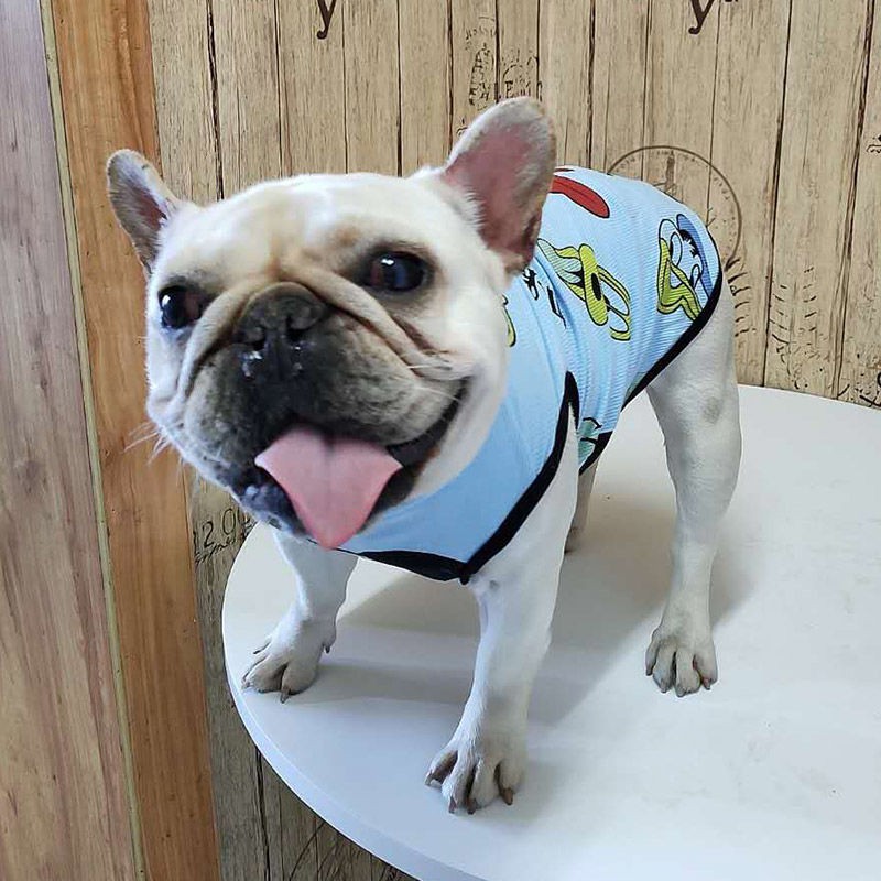 Chiến đấu quần áo mùa xuân và hè mỏng cho chó pug Anh bulldog cỡ trung vest con thú cưng