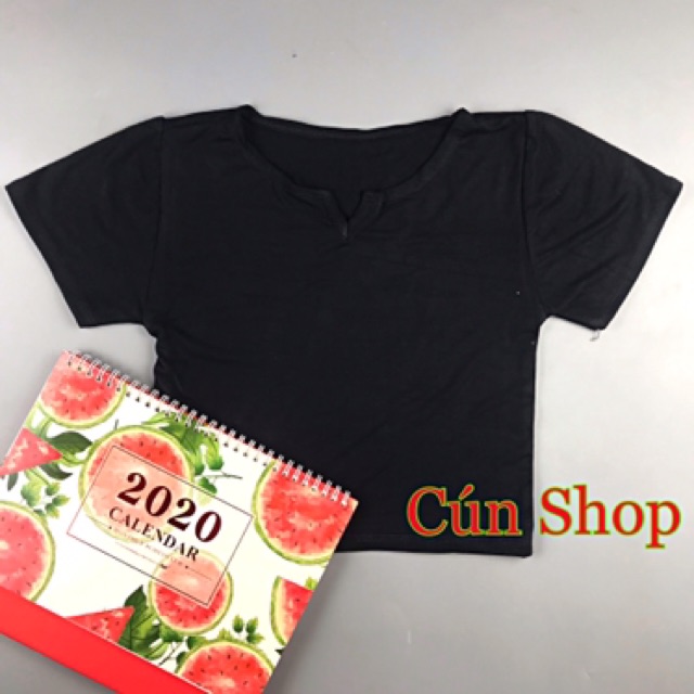 Áo croptop cổ khoét chữ V 3 màu RICH STORE CRT23