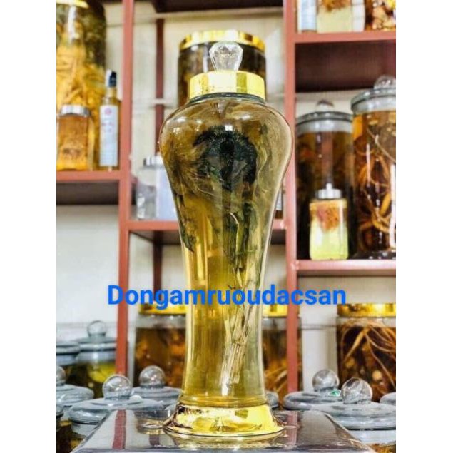 THIÊN SƠN TUYẾT LIÊN HOA 1 BÔNG
