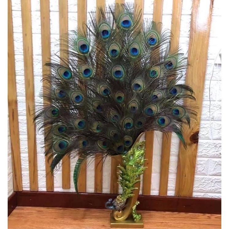 Lông công phong thủy LOCOADO, dài 70-80cm, Mắt to 4-6cm, nhập khẩu Ấn Độ