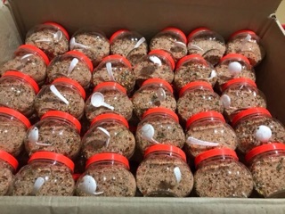 Chẳm chéo Tây Bắc. Chuẩn vị dân tộc Thái