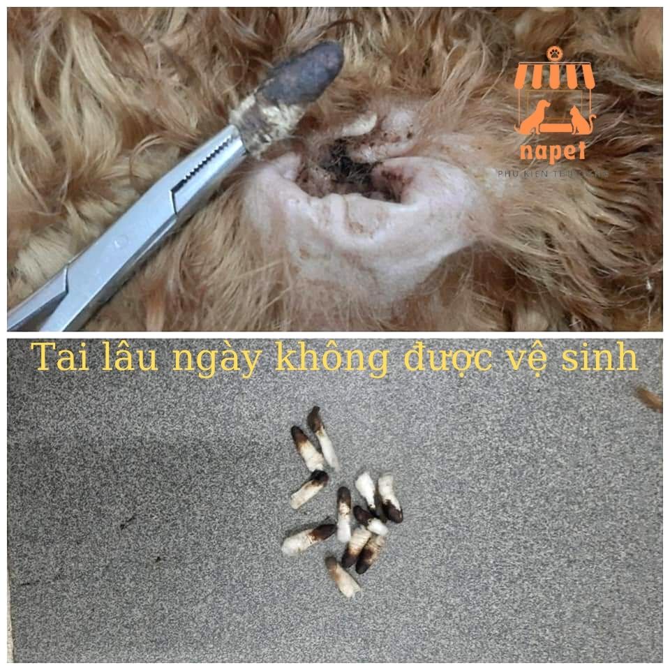 Dung dịch vệ sinh tai Chó Mèo 100ml Pet Ear Cleaner - Làm sạch tai Chó Mèo