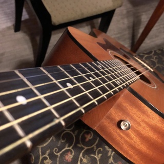 Bộ Dây Đàn Guitar Makey