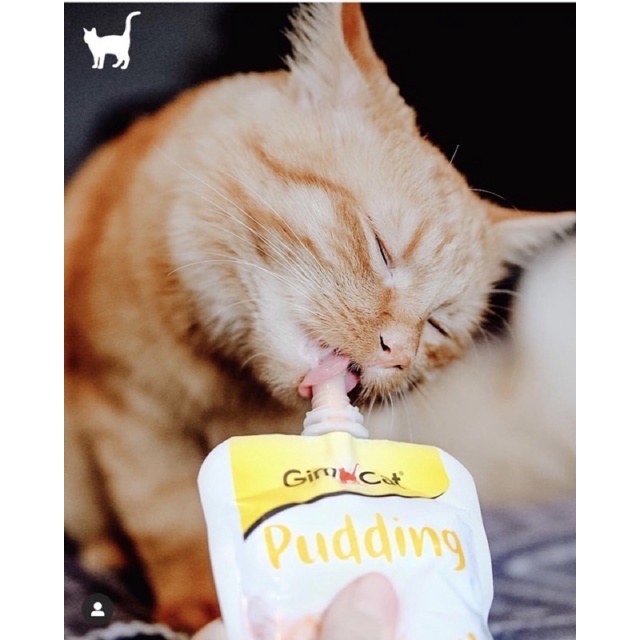 [GIÁ HỦY DIỆT] Gimcat Pudding / Sữa chua cho mèo 150gr