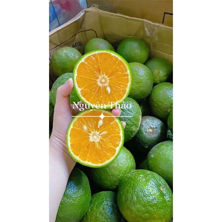 CAM SÀNH MỘNG NƯỚC SIZE BI