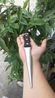 Dũa kim cương nhật bản