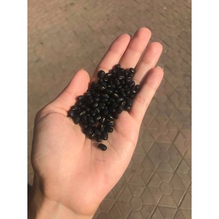 Combo Dầu gội và đậu đen xanh lòng