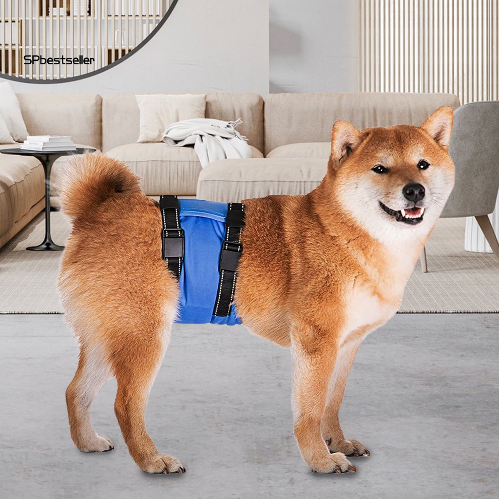 Tã Quần Vệ Sinh Dễ Sử Dụng Cho Thú Cưng