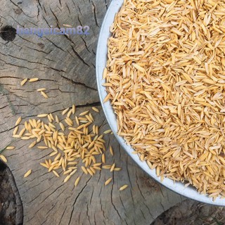 1KG VỎ TRẤU KHÔ.