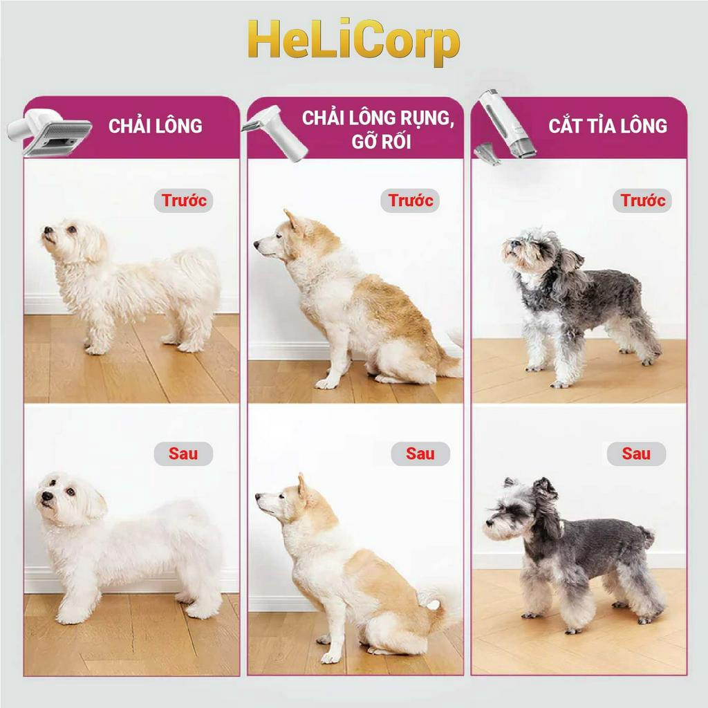 Máy Cắt, Tỉa, Cạo, Chải, Hút Lông Chó Mèo Petkit AirClipper 5 in 1 Pet Grooming Kit - HeLiCorp