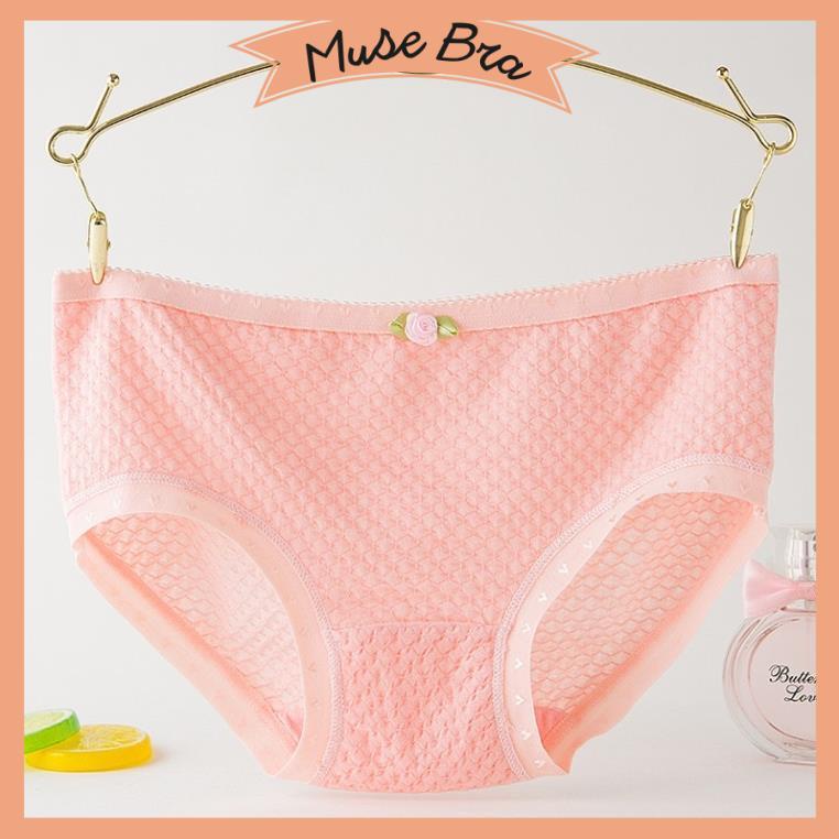 [Giá sỉ] Quần Lót Cotton Thông Hơi Siêu Thoáng 885