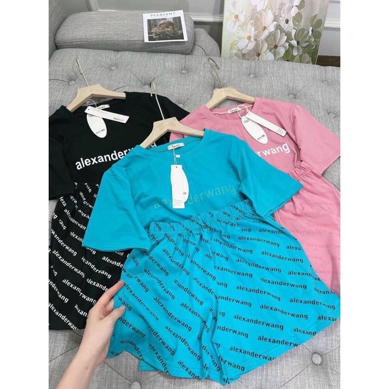 Bộ đồ nữ mặc nhà thể thao WANG ba màu basic siêu đẹp bộ đồ áo thun kèm quần short đùi thun mặc nhà