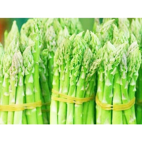 Hạt giống Măng Tây Xanh F1- Lộc Phát