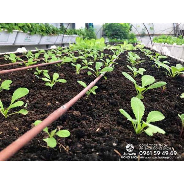 1kg đất sạch trồng cây, đất giàu dinh dưỡng chuyên trồng hoa, cây cảnh, rau củ quả