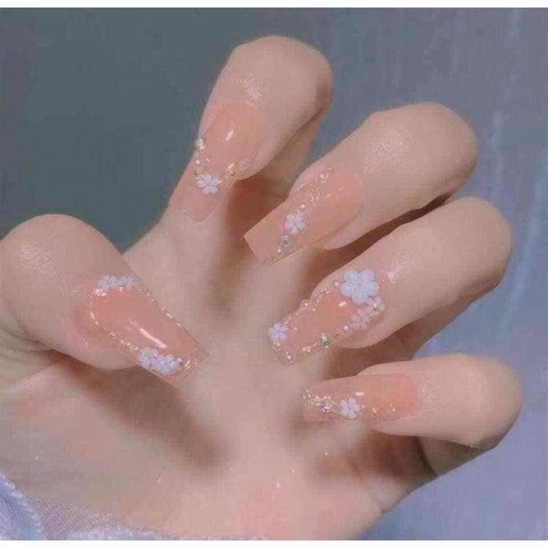 Set Hoa Sứ Nhí 50bông