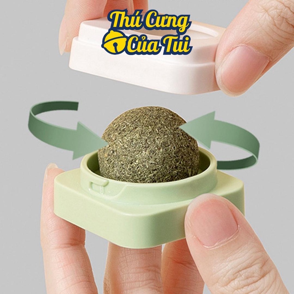 Đồ Chơi Catnip Gắn Tường Viên Cỏ Bạc Hà Cho Mèo Liếm Tiêu Búi Lông - Thú Cưng Của Tui